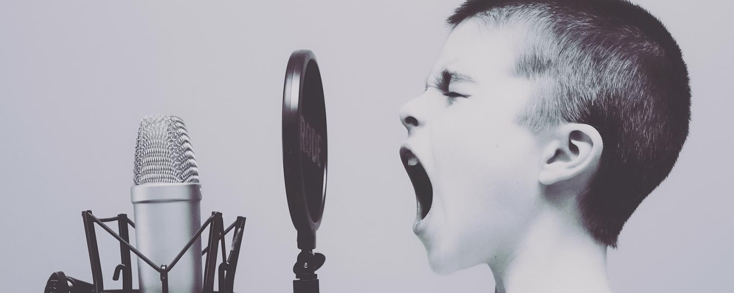 The Voice of Media Nav Evolution. Tylko po polsku.