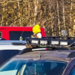 Kurz i piasek: Dusterowa migracja zlotowa